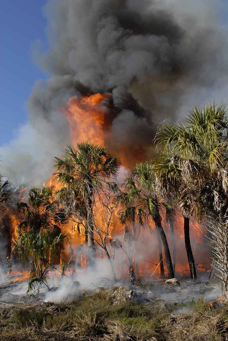 Ramos Keith, U.S. Fish and Wildlife Service, Public domain, via Wikimedia Commons